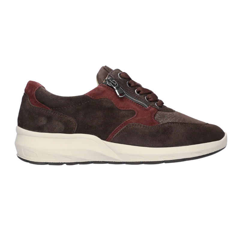 Zapato clásico Melostr.