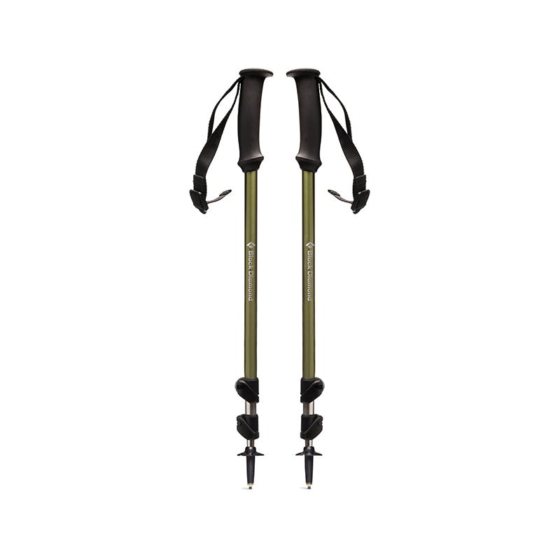 Trail Explorer 3 Vandrestave - Grøn - Seniorshop