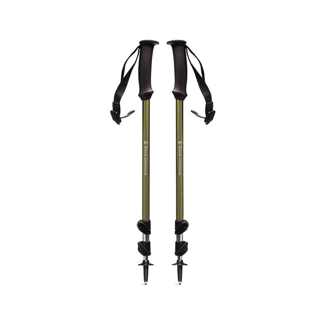 Trail Explorer 3 Vandrestave - Grøn - Seniorshop